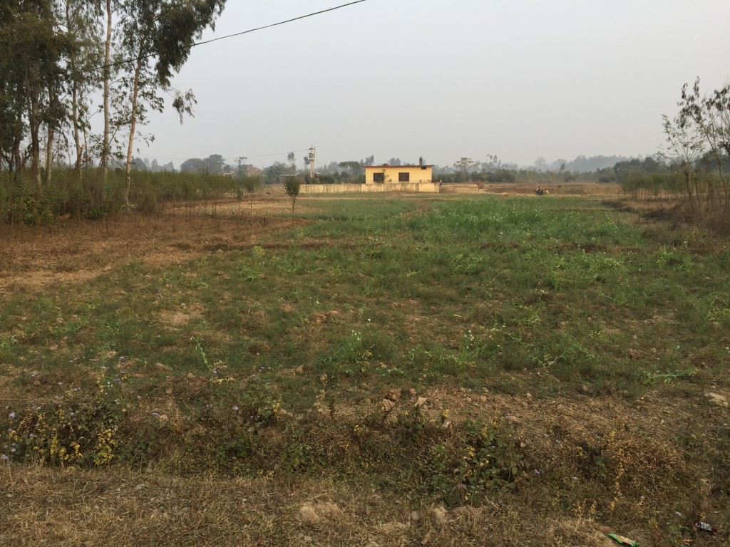 5 Ropani Plot available for sale in Bhimdhunga 5 Ropani Plot available for sale in Bhimdhunga