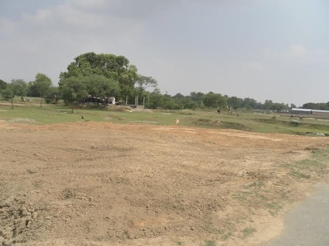 7 Kattha Land For Sale at Near Maya Devi Gate, Lumbini