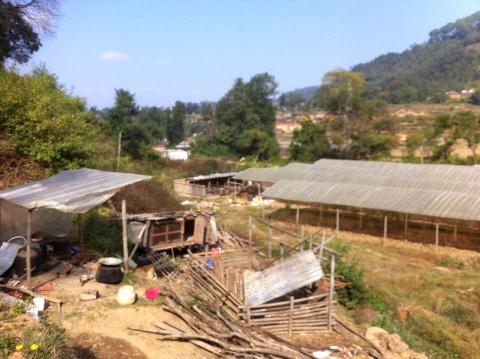 5 Ropani Land For Sale at Godavari Taukhel, Kitni VDC, Lalitpur