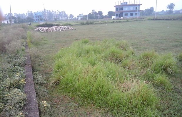 Land on Sale at Lumbini Engineering College, Bhalwari