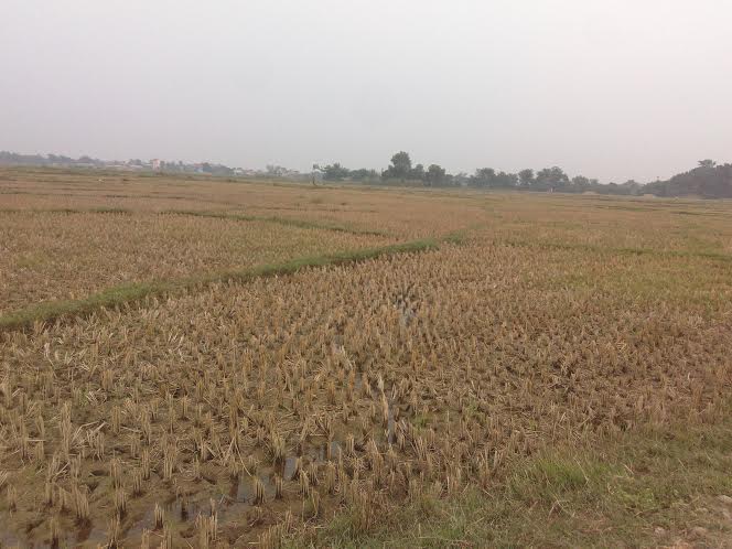 kapilvastu-land-2