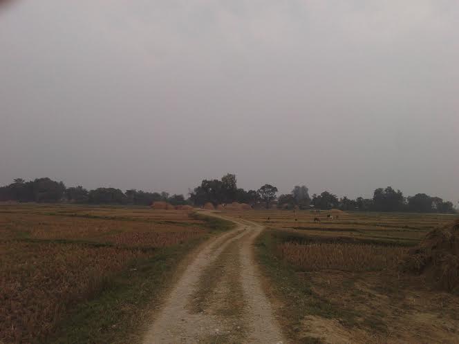 kapilvastu-land-3