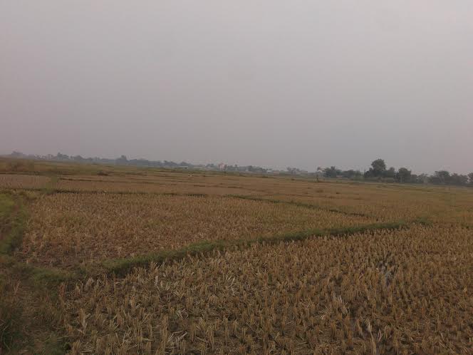 kapilvastu-land-4