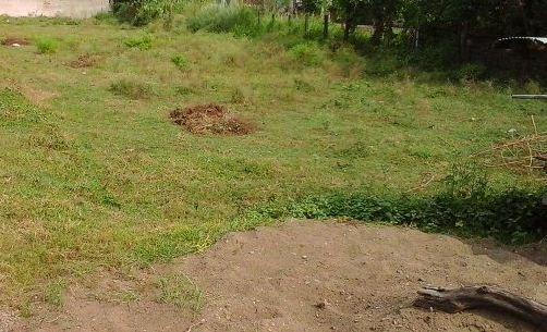 10 Dhur Land For Sale Shankar Nagar