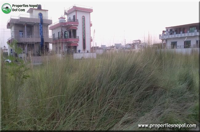 property in manigram sankarpur