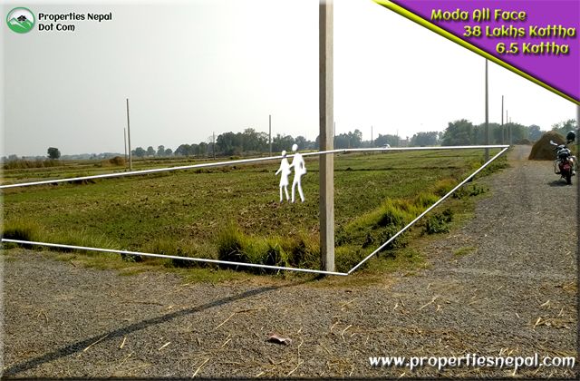 Featured6.5 kattha Land For Sale in Padsari, Bhairawaha