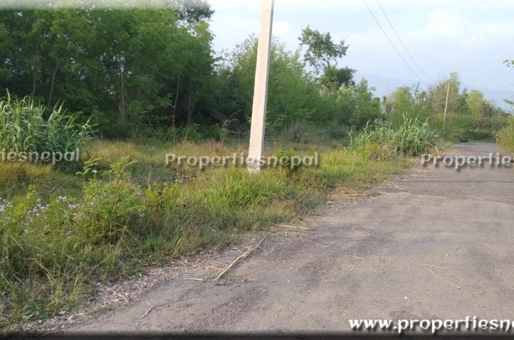 Featured42 Dhur Land For Sale in Semalar, Butwal