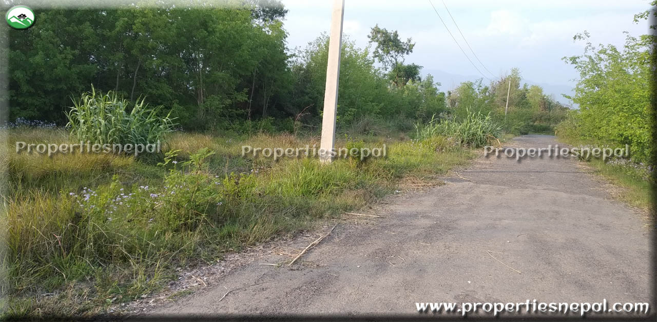 42 Dhur Land For Sale in Semalar, Butwal