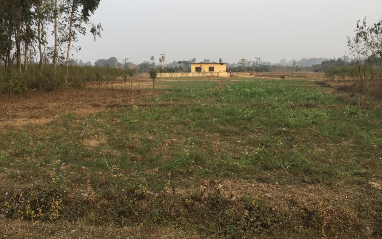 5 Ropani Plot available for sale in Bhimdunga, Kathmandu – IMG_1983