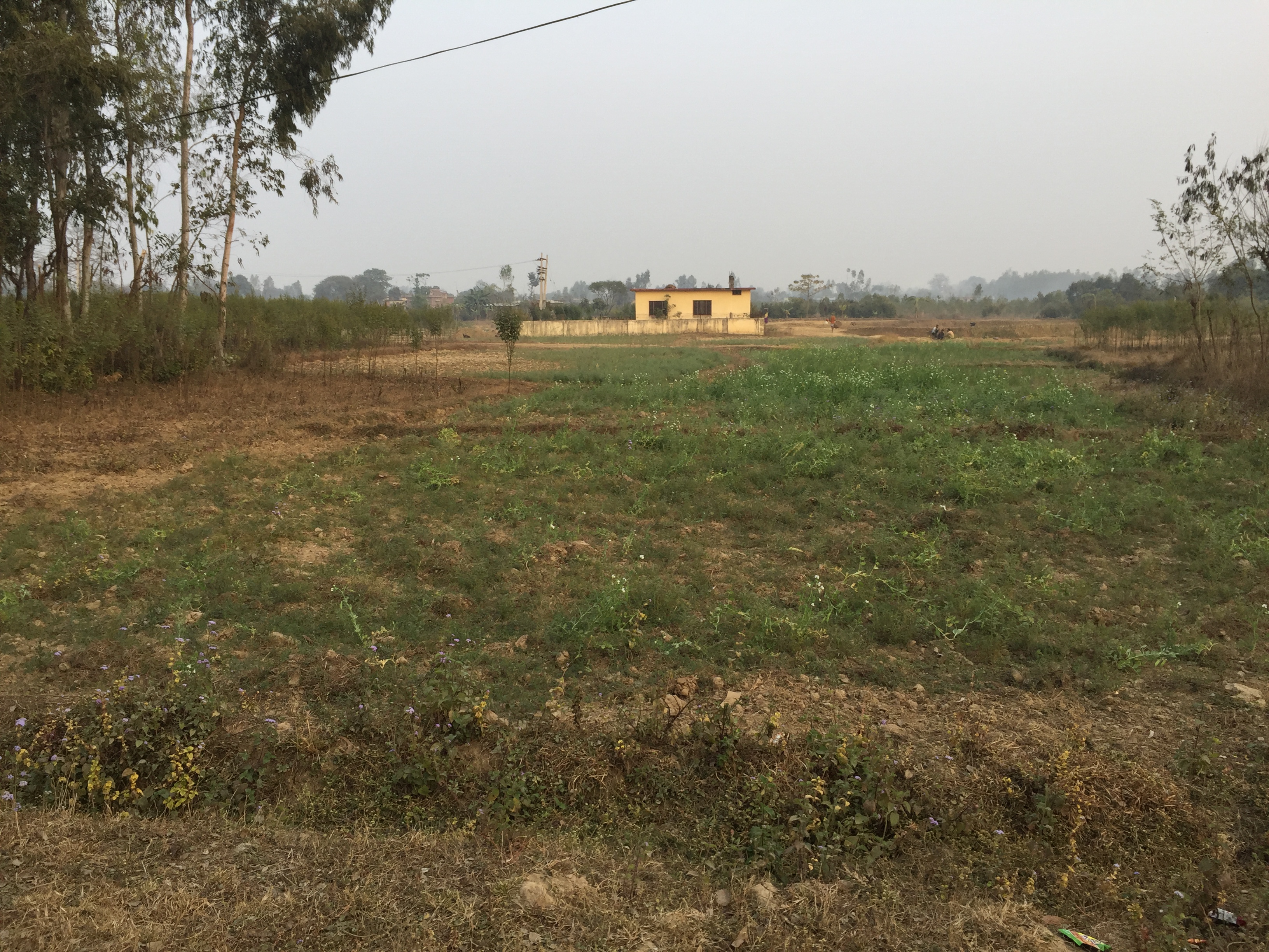 5 Ropani Plot available for sale in Bhimdhunga